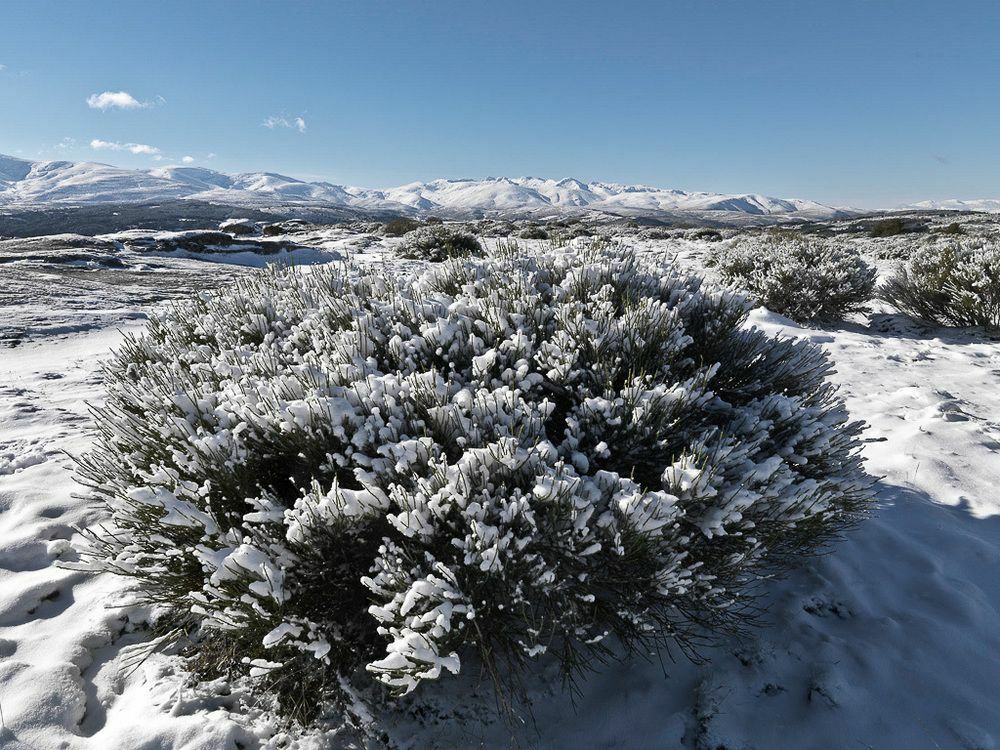 El Cerro - El Cerro I Navarredonda de Gredos Exterior foto